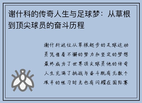 谢什科的传奇人生与足球梦：从草根到顶尖球员的奋斗历程